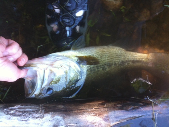 LMB Sudbury Res 7-3-12