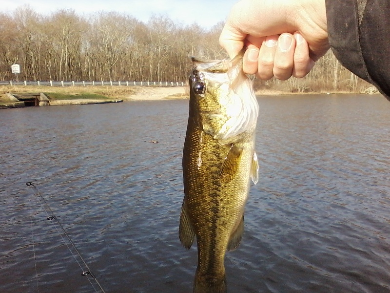 small largemouth