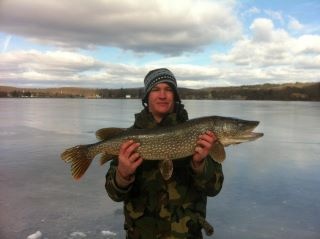 13.2 pound 37 inch pike #3 