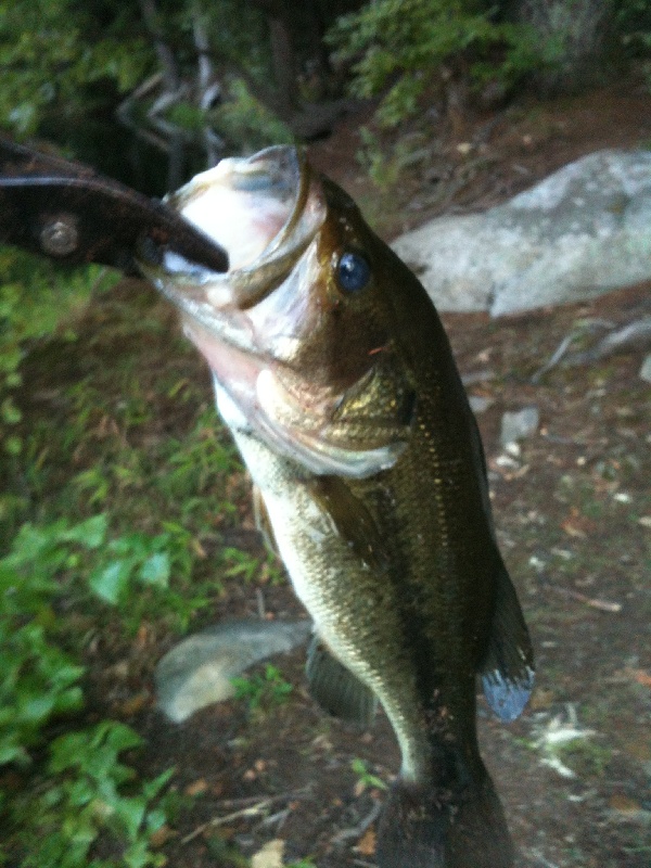 Fishin' the Falls