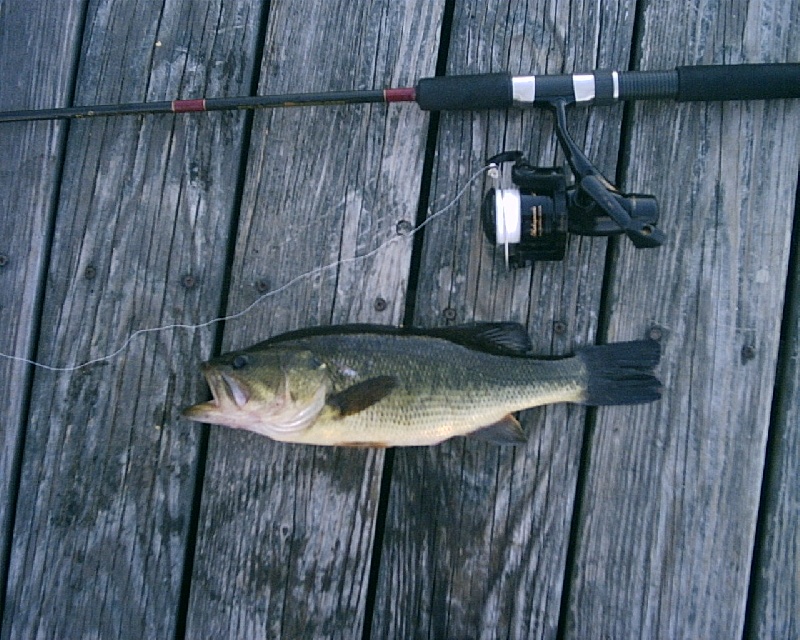 4/17/08 - Lake Cochtituate - Boat Ramp