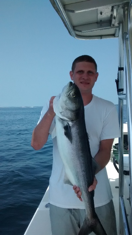 Boston harbor July 2014